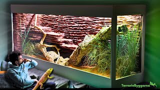 🌿I GOT A MASSIVE ENCLOSURE FOR MY BEARDED DRAGON  TERRAQUAMAN [upl. by Anett]