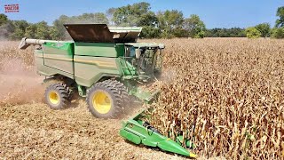 JOHN DEERE S7 800 Combine Harvesting Corn [upl. by Zeuqirdor132]