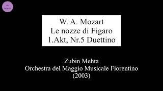 Violin Excerpts WAMozart  Le nozze di Figaro 1Akt Nr5 Duettino 2vn [upl. by Aggy426]