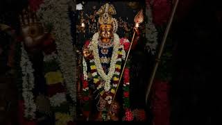 Bathala copper Muruga [upl. by Kcirtemed]