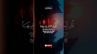 Surah AlMuminun Verse 8489🎙️Yaseer AlDosariسورةالمؤمنون ياسرالدوسري القرآنالكريم الله [upl. by Efrem]