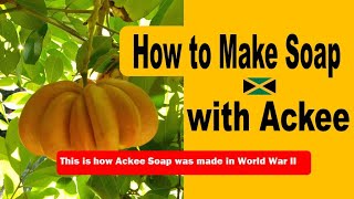 How to Make Soap with Jamaican Ackees [upl. by Kassel]