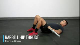 Barbell Hip Thrust  OPEX Exercise Library [upl. by Malinda21]