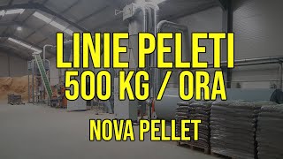 Linie productie peleti rumegus verde  500 kgora [upl. by Htebasyle322]