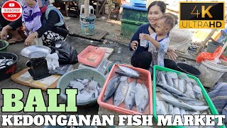 BALI INDONESIA  TRADITIONAL FISH MARKET KEDONGANAN  FULL TOUR  2024  4K [upl. by Rosse]