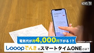 電気料金が月4000円下がる！？Looopでんきの「スマートタイムONE」とは？ [upl. by Kcirdek]