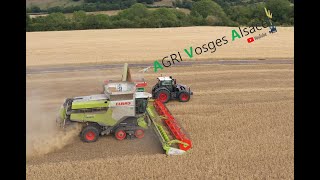 🇫🇷NEW CLAAS LEXION 8900TT 🤩 et CONVIO 1230 [upl. by Shelagh962]