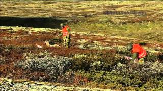 Forsvarsbygg gjennomfører norgeshistoriens største naturrestaureringsprosjekt [upl. by Jar]