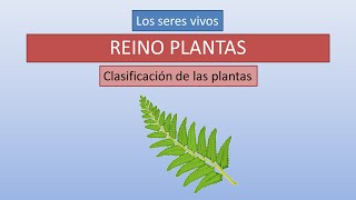 Plantas características y clasificación [upl. by Kcirdnek]