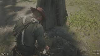 RDR2  BraithwaiteGray Gold Mystery SOLVED [upl. by Ddet]