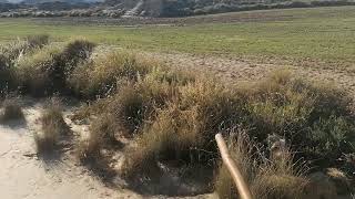 Pastoresdemergencia com En las Bardenas Reales Navarra [upl. by Enyrb]