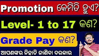 Odisha Govt Salary Structure 🔥What is LevelPay ScalesGrade Pay ଚାକିରୀ କଲେ କେତେ ଦରମା ପାଇବେ [upl. by Raimondo183]