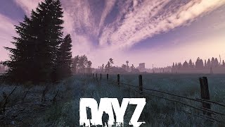 “Dark”  Solo DayZ Adventure [upl. by Jacquet]