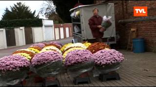 Hasselt Allerheiligen bloemenmarkt [upl. by Anatnahs]