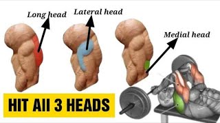 9 Best Triceps Workout for Every Head Hit all 3 heads  Fitkill [upl. by Annas]