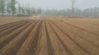 Carrot Sowing on ridges in Horticulture Development Centre Punjab at Ladowal Ludhiana [upl. by Pirbhai]