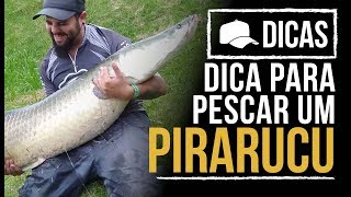 DICAS 83  DICAS PRA PESCAR PIRARUCU [upl. by Sheeb]