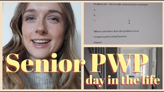 BEING A SENIOR PWP  day in the life as a Senior Psychological Wellbeing Practitioner [upl. by Ahsiam]