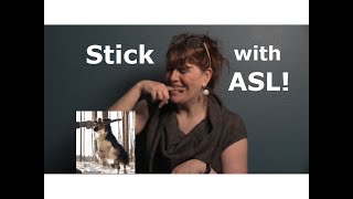 Stick with ASL 6 meanings of STICK [upl. by Braswell570]