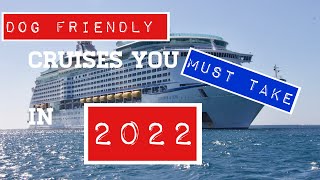 7 Dog Friendly Cruises To Take In 2022 [upl. by Colvin50]