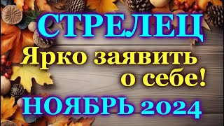 СТРЕЛЕЦ  ТАРО ПРОГНОЗ на НОЯБРЬ 2024  ПРОГНОЗ РАСКЛАД ТАРО  ГОРОСКОП ОНЛАЙН ГАДАНИЕ [upl. by Naoma]