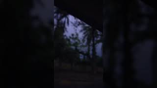 lightningbolt ⚡🌩️ todaysweather heavyrain sialkotweather youtubeshorts viral [upl. by Weisman257]