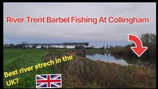 Barbel fishing the best place in the whole country River Trent Collingham [upl. by Ennayhc669]