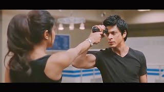 Don 2 Full Movie In Hindi  Shah Rukh Khan  Priyanka Chopra  Boman Irani  Review amp Fact [upl. by River142]