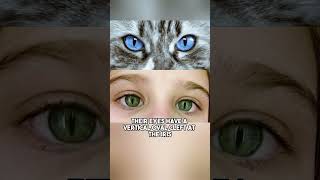 Does Cats Eye Syndrome Actually Exist [upl. by Alikahs]