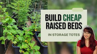 Build a Cheap Raised Bed in a Tote  Easy Container Gardening [upl. by Novaj791]