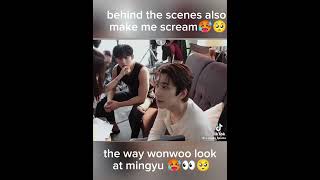 Behind the screen minwon moments also makes me scream 🥵🥺😅❤️seventeensvtwonwoomingyuminwon [upl. by Wende]