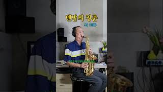 맨발의 청춘 최희준 Alto Saxophone 알토 색소폰 Cover shots [upl. by Ellak]