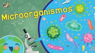 ¿Qué son los Microorganismos Videos Educativos para Niños [upl. by Afrika]