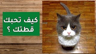 5 أشياء تجنبها لتحبك قطتك، كيف تحبك القطط ؟ [upl. by Kitty]