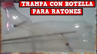 Trampa Para Ratones o Ratas con Botella tutorial completo  YMX SUPERVIVENCIA [upl. by Ahsirahc]