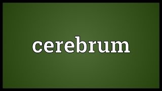 Cerebrum Meaning [upl. by Nair455]