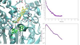 Binding event between Donepezil and Acetylcholinesterase [upl. by Elenore]