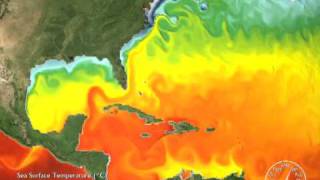 Worldwide Sea Surface Temperature Simulation 2008 3D converted [upl. by Htebazile554]