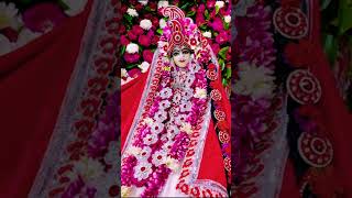 Apni thakurani shree Radika Rani brij viralshorts trending radheshyam ShHarivanshkripa [upl. by Madelina]