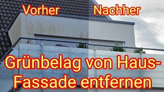 Grünbelag von Hauswand selbst entfernen ohne Hochdruckreiniger mit Abacus Nell Fassade [upl. by Lenee244]