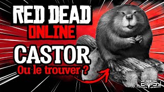 OU TROUVER UN CASTOR DAMERIQUE RED DEAD ONLINE  Beaver location [upl. by Sugna]