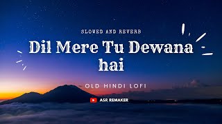 Dil Mere Tu Deewana Hai  Slowed And Reverb  90s Romantic Bollywood Song [upl. by Welby98]