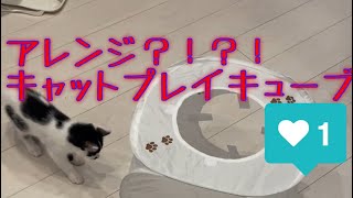 【アレンジ遊び】キャットプレイキューブの変な遊び方動画 息子大爆笑中 [upl. by Eddie]