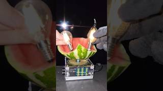 How to light a big lamps with a watermelonteslacoilteslacoilelectroboom [upl. by Haff]