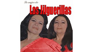 Las Jilguerillas  Dios Te Bendiga Cover Audio [upl. by Frechette]