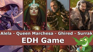 Alela vs Queen Marchesa vs Ghired vs Surrak EDH  CMDR game play for Magic The Gathering [upl. by Adriell]