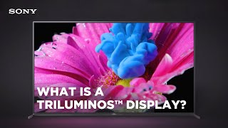 What is a TRILUMINOS™ Display [upl. by Lamrert]