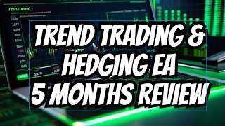 Best MT4 Forex Bot for Trend amp Hedging Strategies  5Month Review  Perfect Hedge Trading EA Robot [upl. by Hcone]