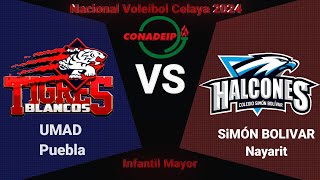 Nacional Conadeip Inf Mayot UMAD vs SIMON BOLIVAR 29052024 [upl. by Ddal]