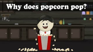 Why does popcorn pop  aumsum kids science education children [upl. by Zenia906]